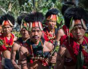 The Naga Hills